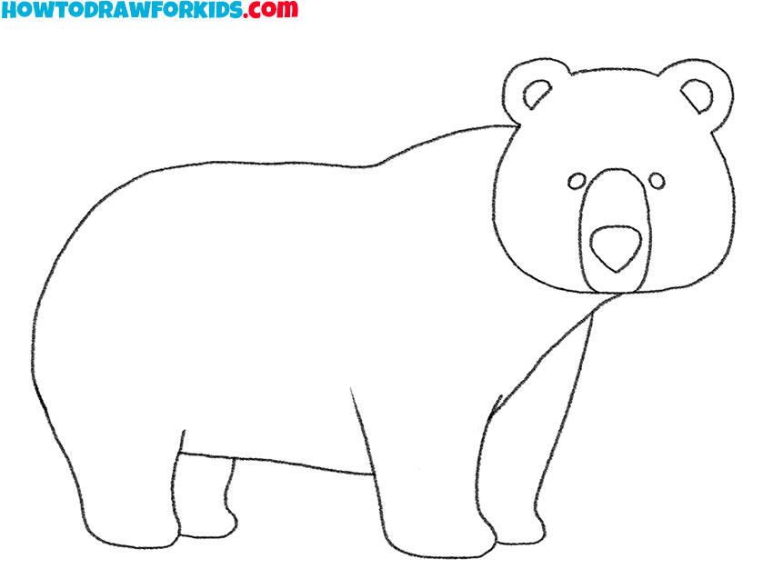 brown bear drawing lesson