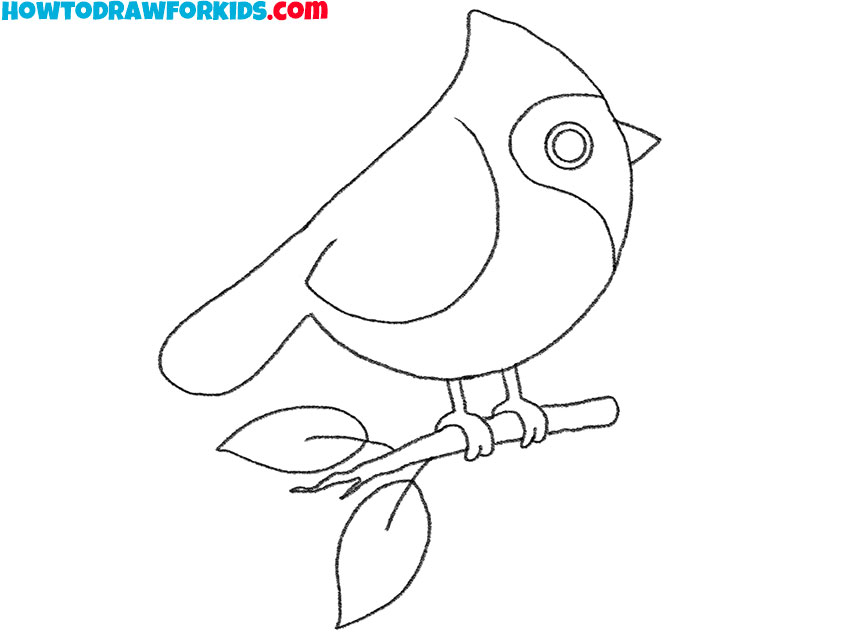 how to draw a cardinal bird for kids