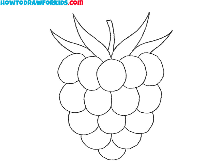 how to draw a raspberry for kindergarten