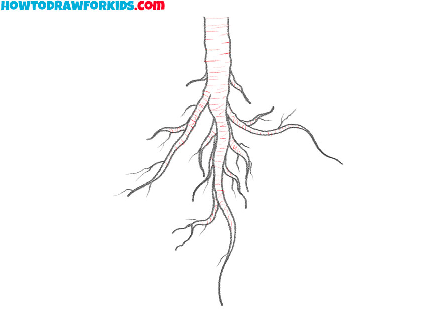 roots drawing for beginners