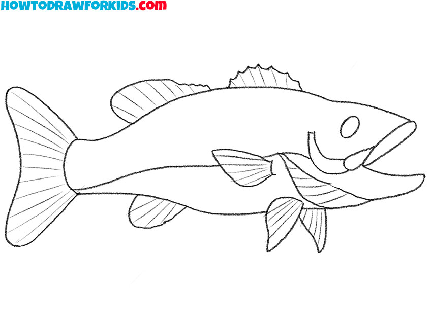 simple bass fish drawing