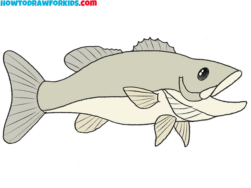 bass fish drawing easy