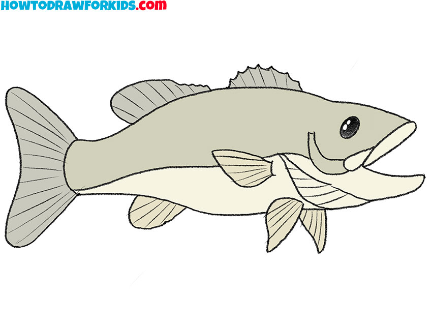 How to Draw a Bass Fish - Easy Drawing Tutorial For Kids