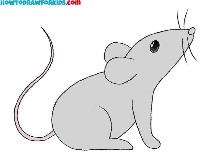 how to draw a mouse for beginners