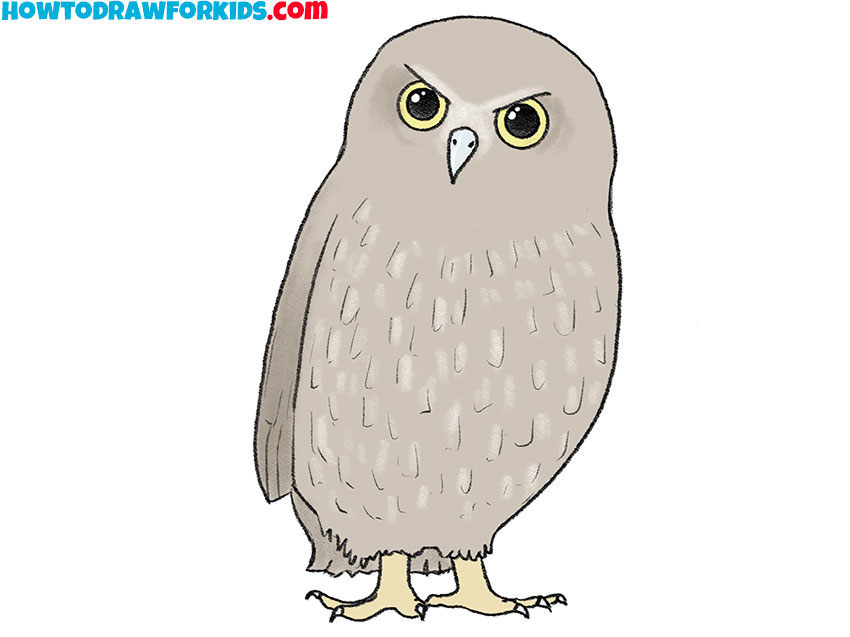 how to draw a realistic owl for kids