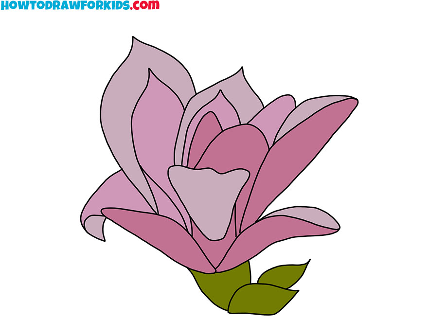 magnolia flower drawing guide