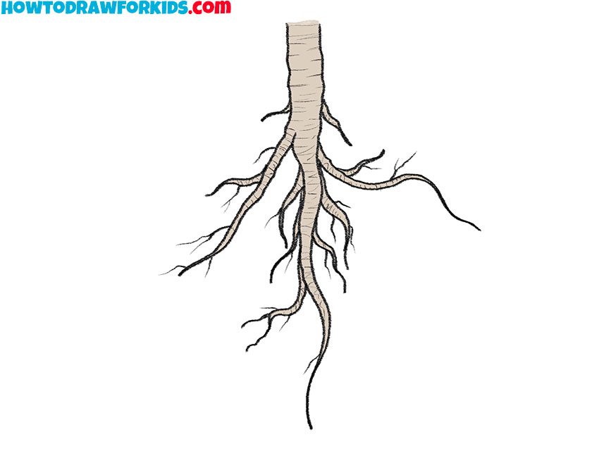 roots drawing lesson simple