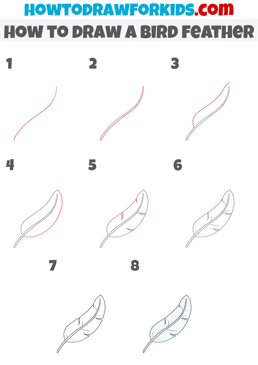 how to draw a bird feather step by step