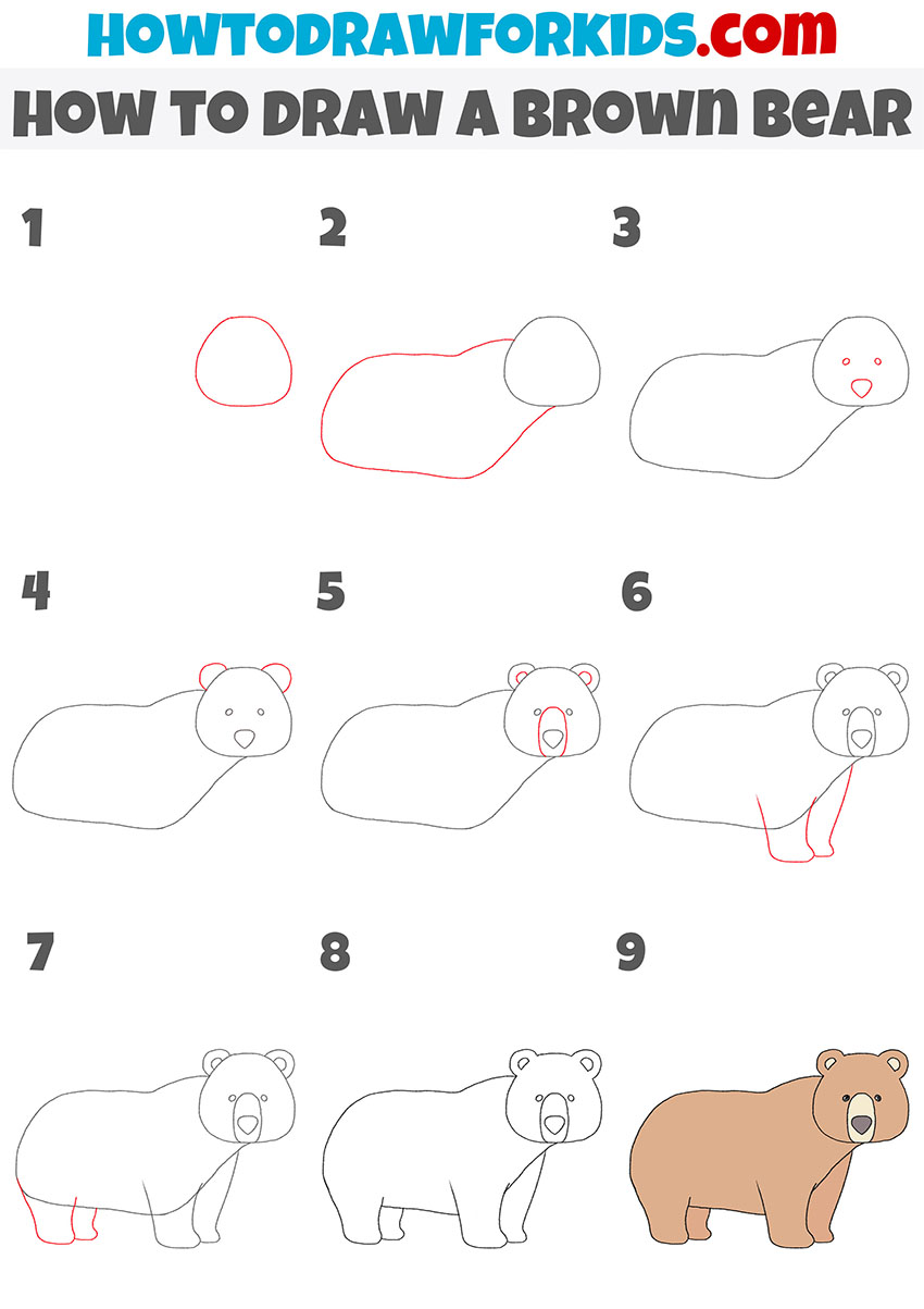 how to draw a brown bear step by step