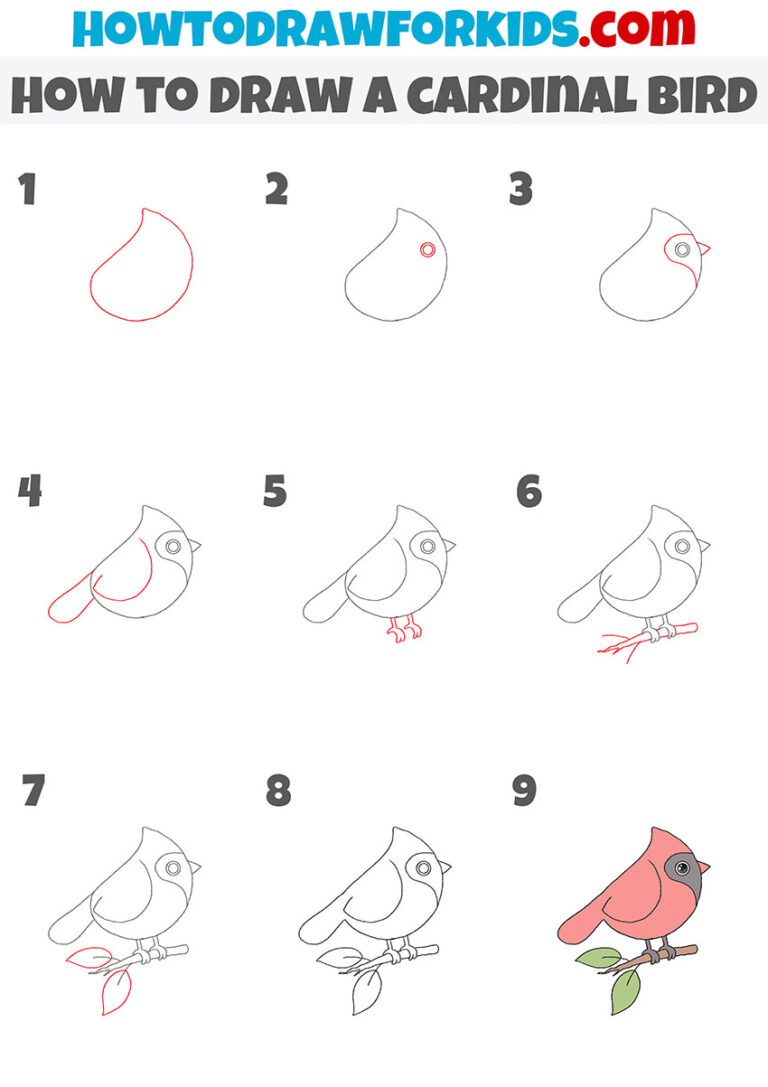 How to Draw a Cardinal Bird - Easy Drawing Tutorial For Kids