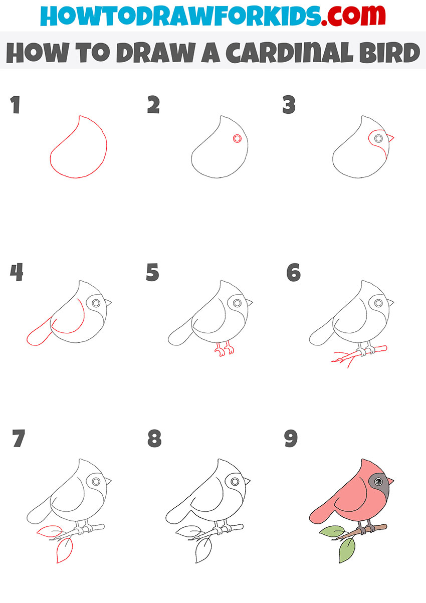 how to draw a cardinal bird step by step