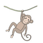 How to Draw a Cartoon Monkey