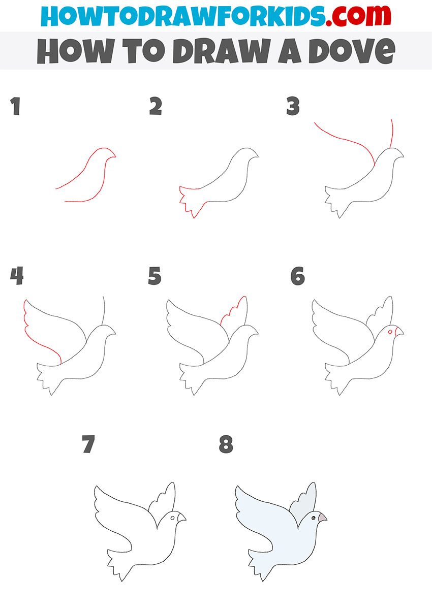 how to draw a dove step by step