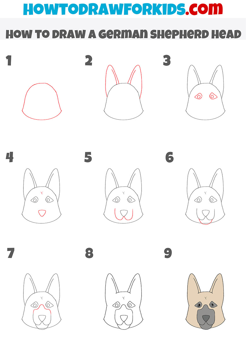 how to draw a german shepherd head step by step