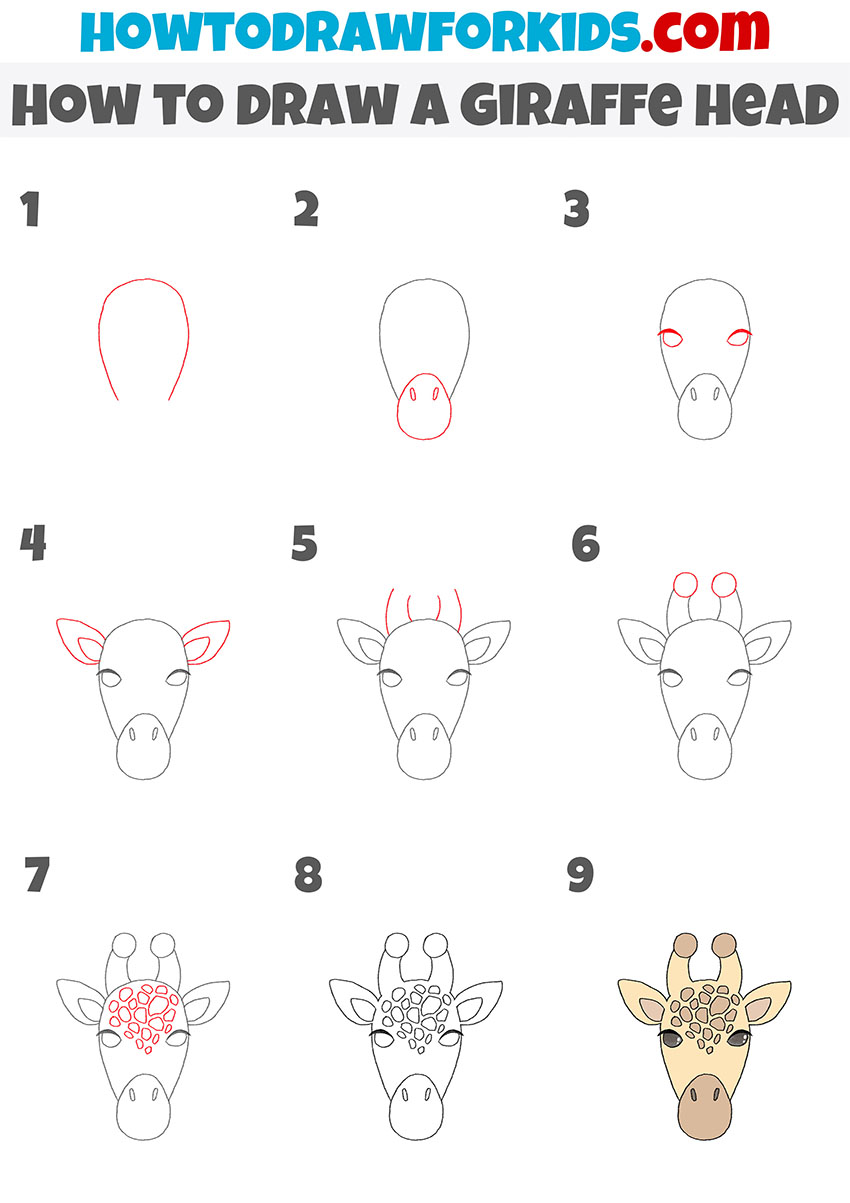 how to draw a giraffe head step by step