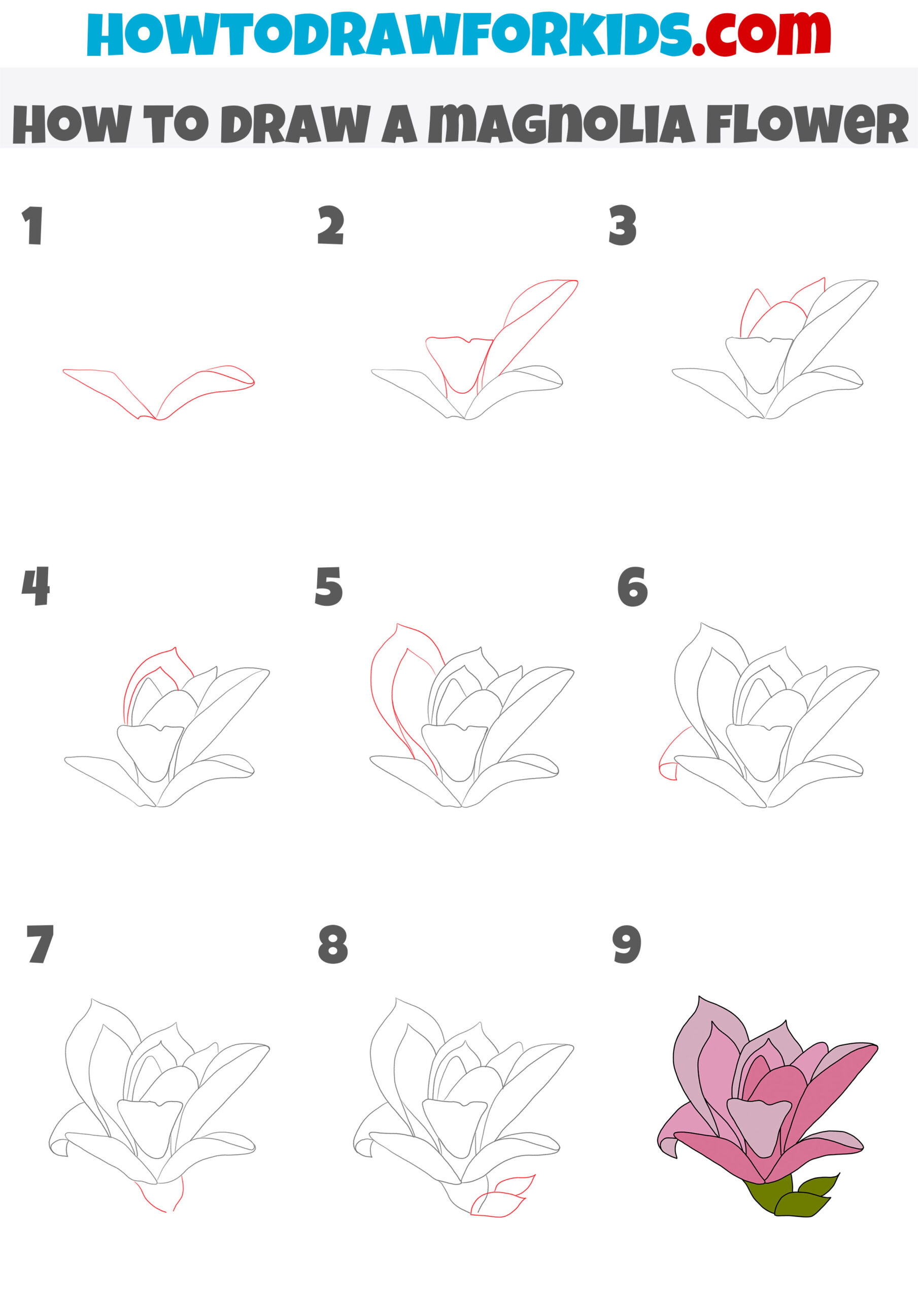 how to draw a magnolia flower step by step