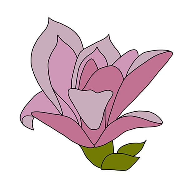How to Draw a Magnolia Flower Easy Drawing Tutorial For Kids