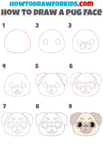 How to Draw a Pug Face - Easy Drawing Tutorial For Kids