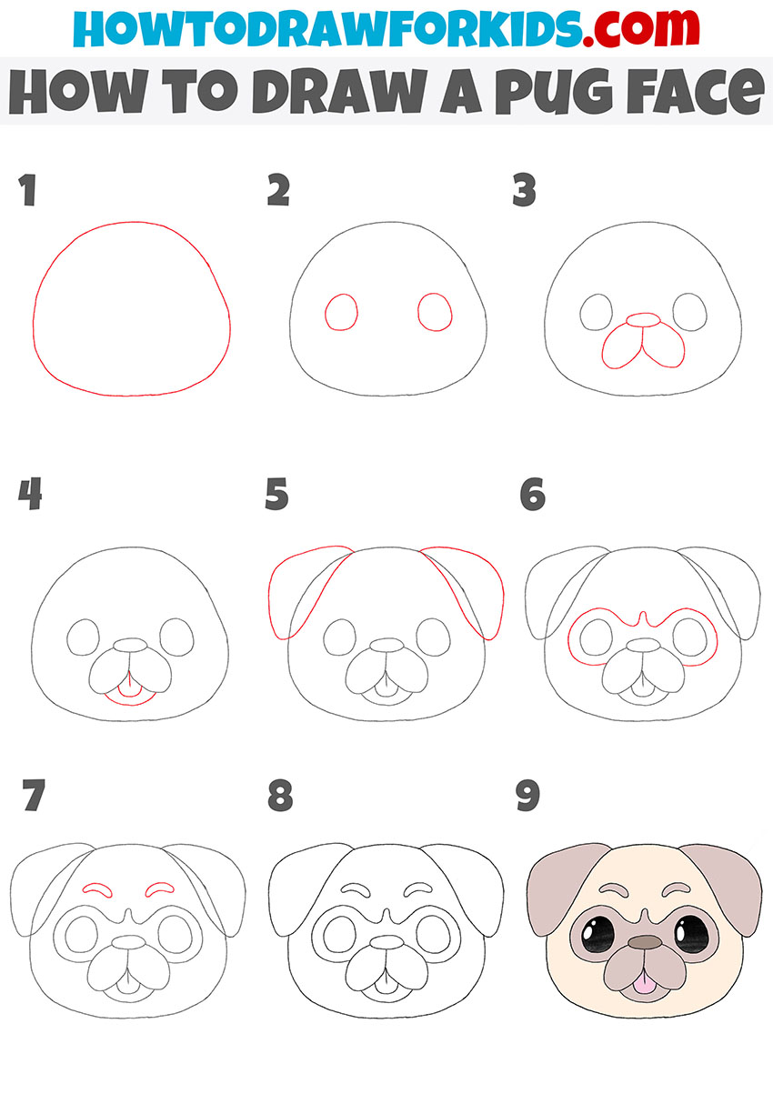 how to draw a pug face step by step