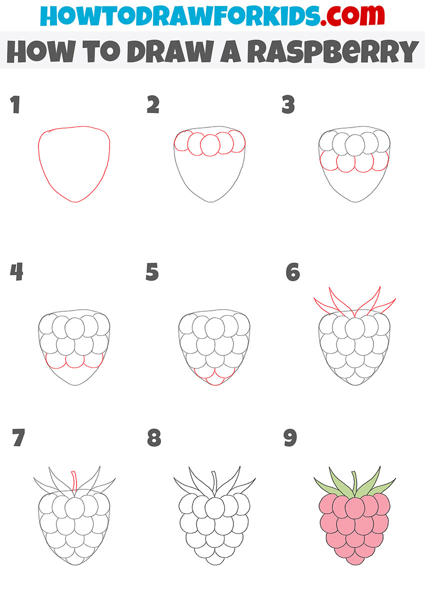 how to draw a raspberry step by step