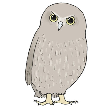 How to Draw a Realistic Owl