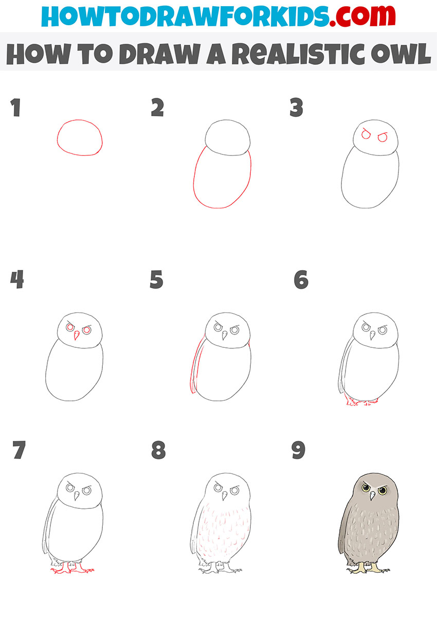 how to draw a realistic owl step by step