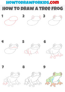 How to Draw a Tree Frog - Easy Drawing Tutorial For Kids