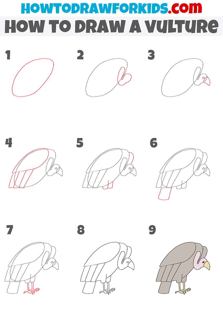 How to Draw a Vulture Easy Drawing Tutorial For Kids