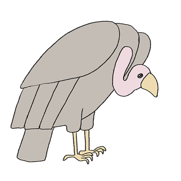 How to Draw a Vulture Easy Drawing Tutorial For Kids