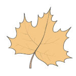 How to Draw an Autumn Leaf