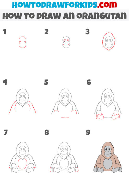 How to Draw an Orangutan - Easy Drawing Tutorial For Kids
