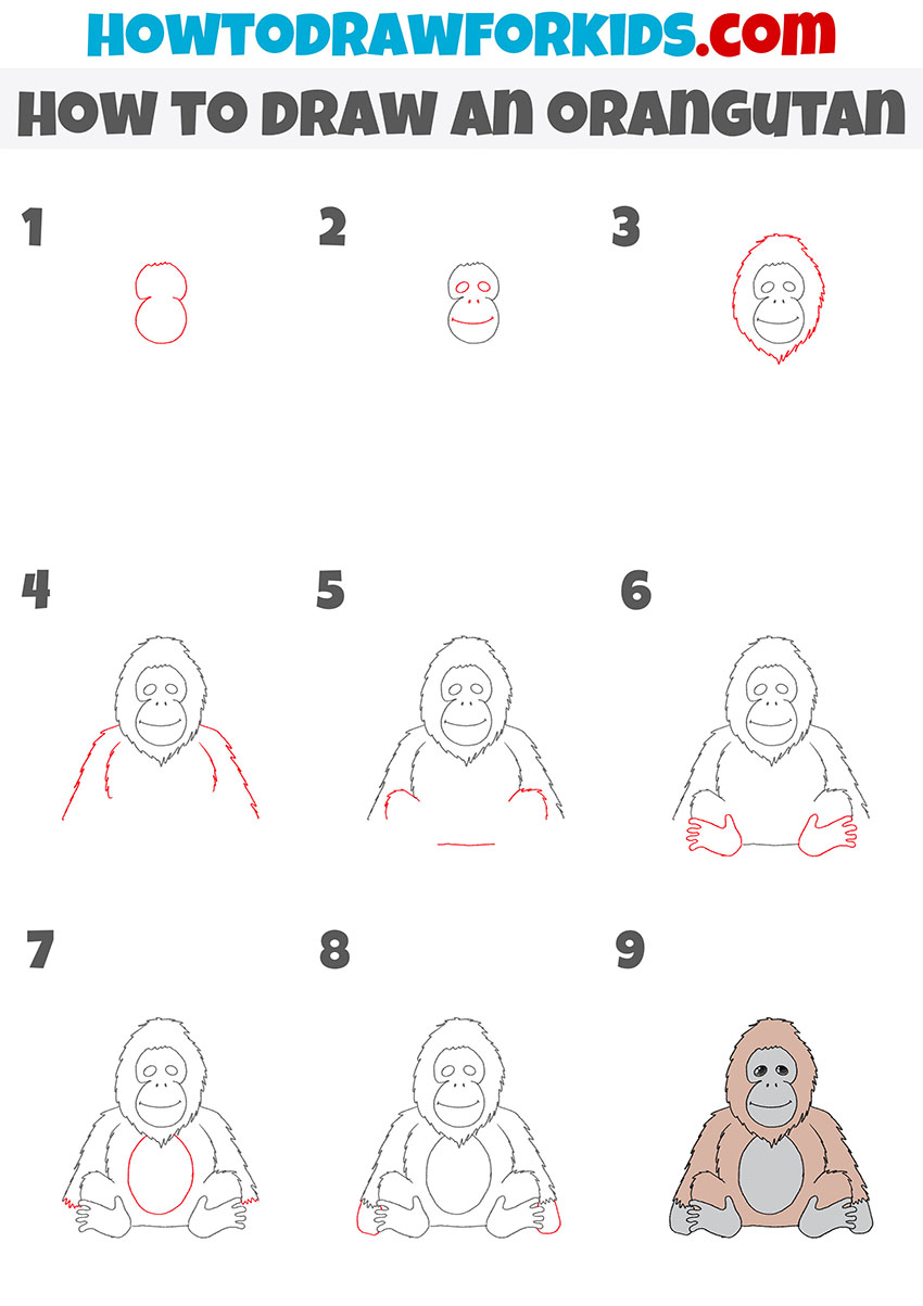 how to draw an orangutan step by step