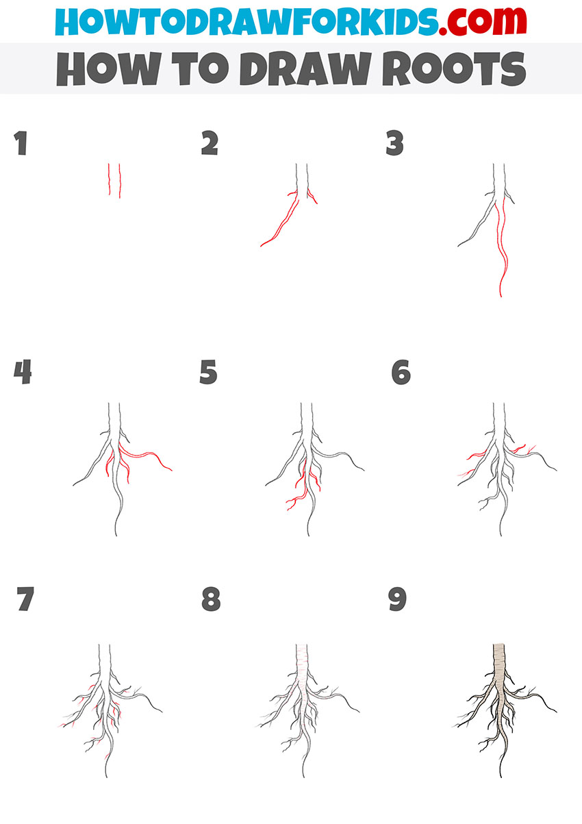 how to draw roots step by step