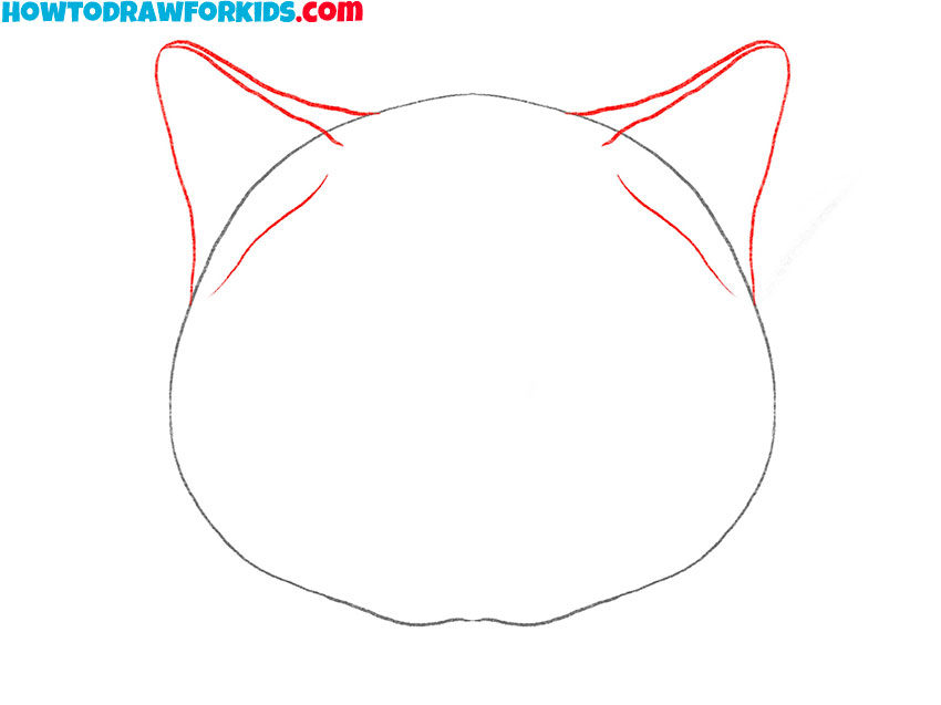 how to draw a realistic cat face for beginners