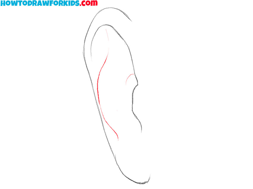 ear from the front drawing guide