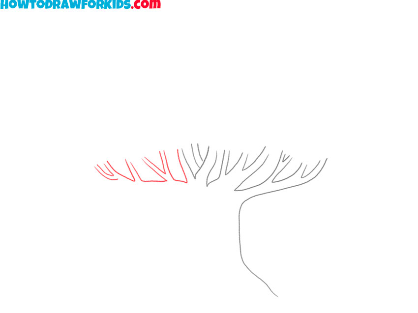 how to draw a big tree for beginners