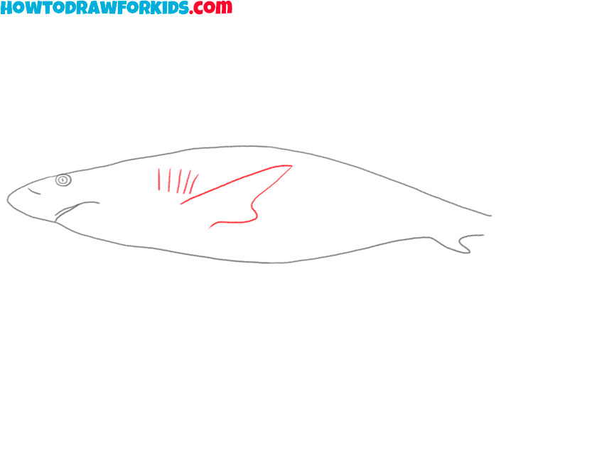 how to draw a shark art hub