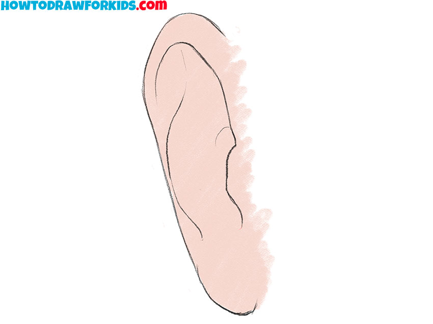 ear from the front drawing for kids