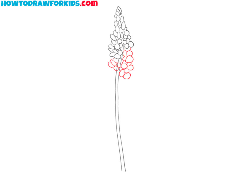 how to draw a bluebonnet for kids