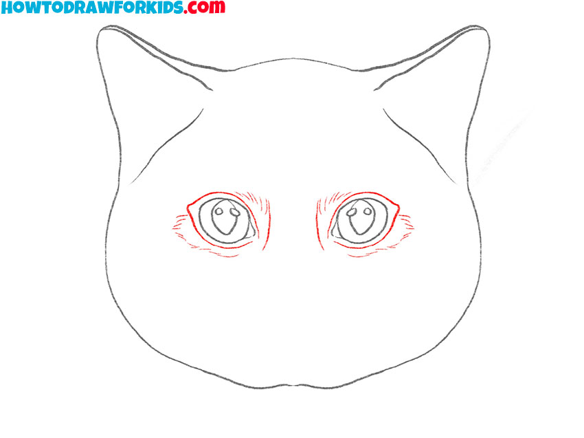 how to draw a realistic cat face for kids