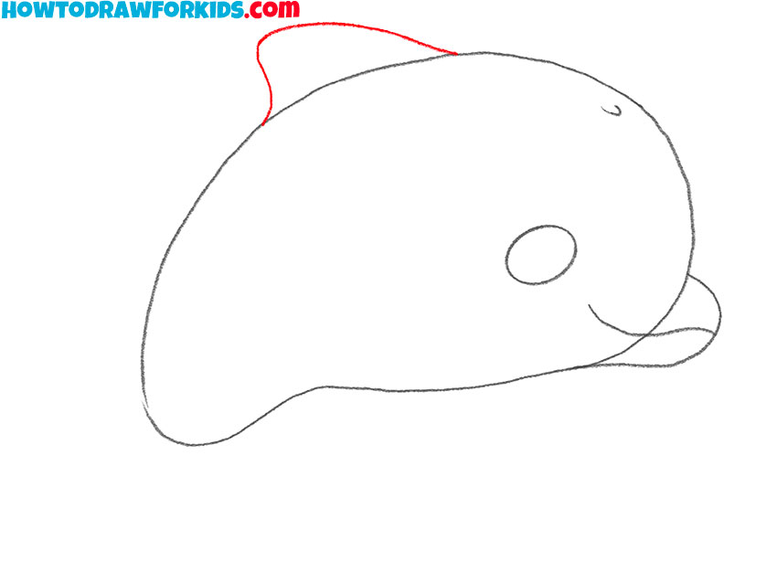how to draw a realistic dolphin art hub