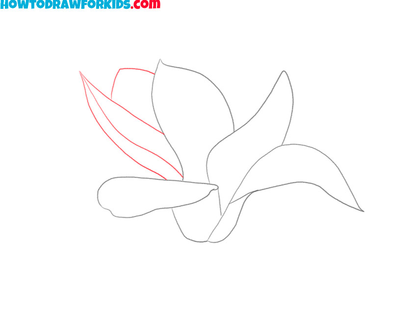 magnolia drawing lesson