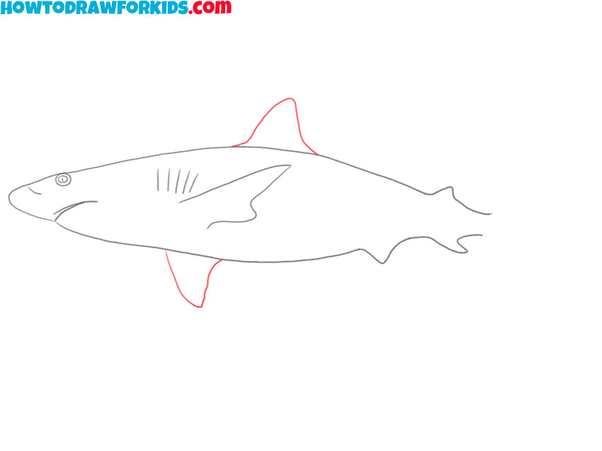 how to draw a shark cartoon