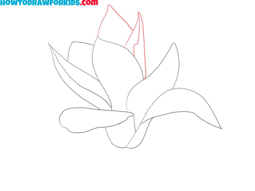 magnolia drawing tutorial