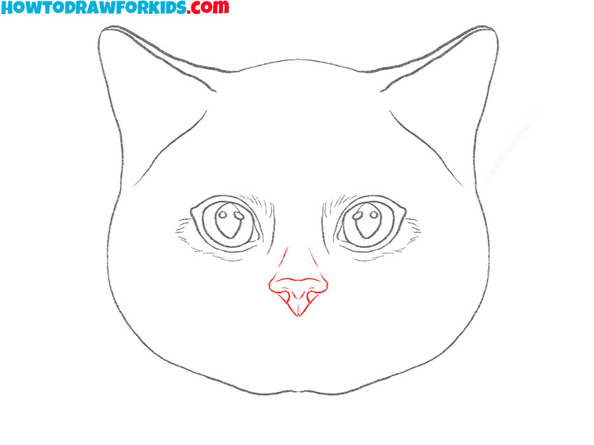 realistic cat face drawing lesson