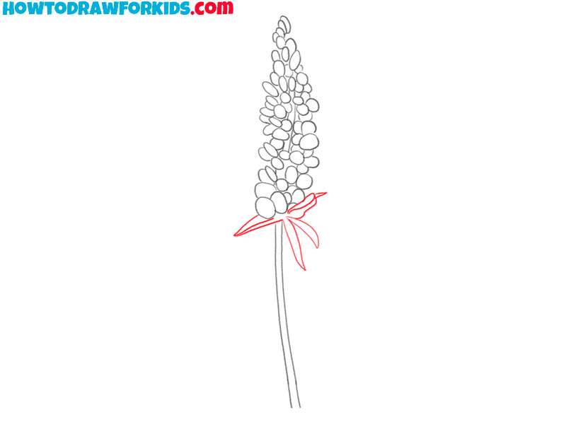 how to draw a bluebonnet for kindergarten