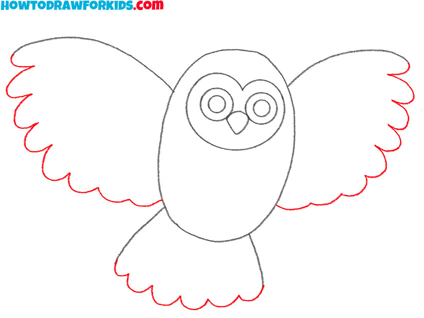 how to draw a cartoon owl for beginners