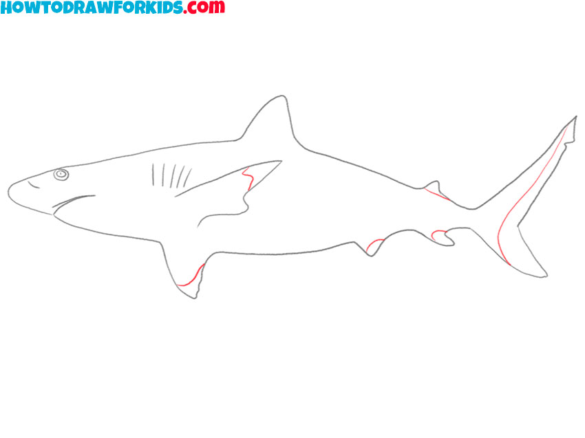 how to draw a shark cartoon easy