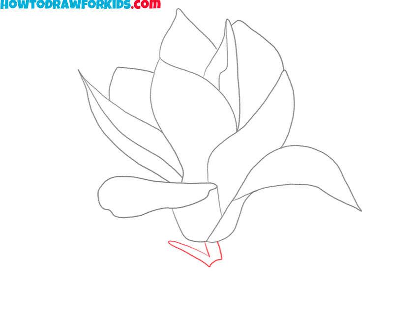 magnolia drawing for kids