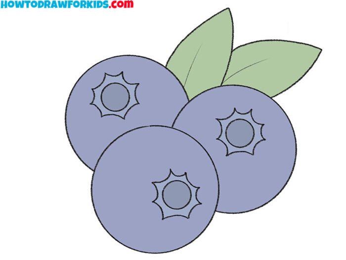 How to Draw a Blueberry Step by Step Drawing Tutorial For Kids